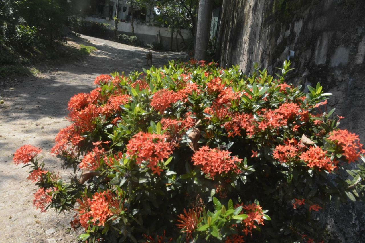 Fox Villa Wattala Exterior foto